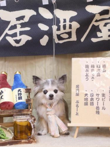 20240630クラウディアちゃん